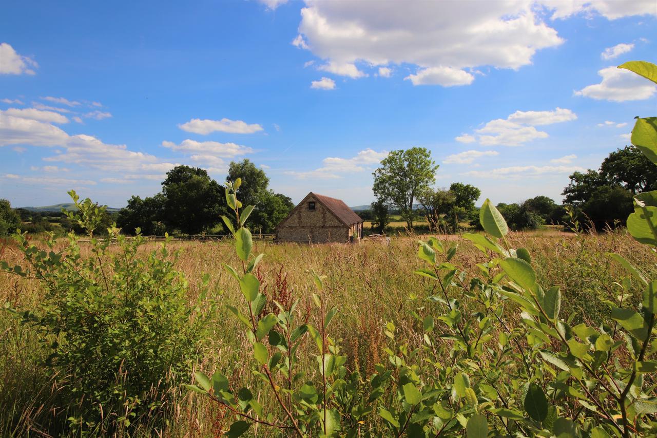 North Cottage - Country Retreat In The Heart Of Sussex -Twineham Eksteriør billede